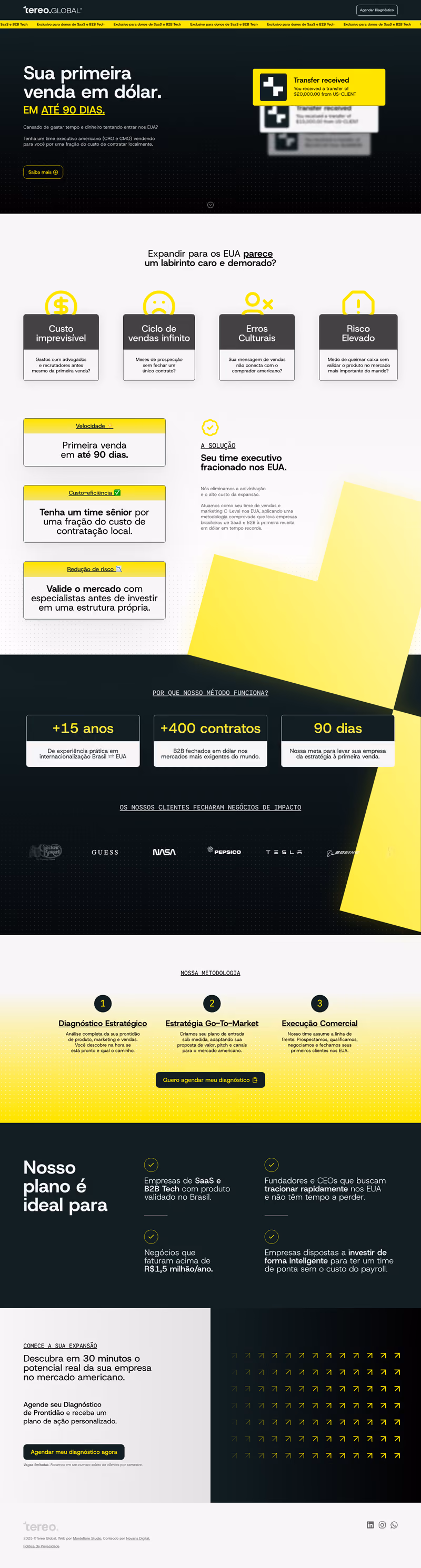 Tereo Global — Diagnóstico